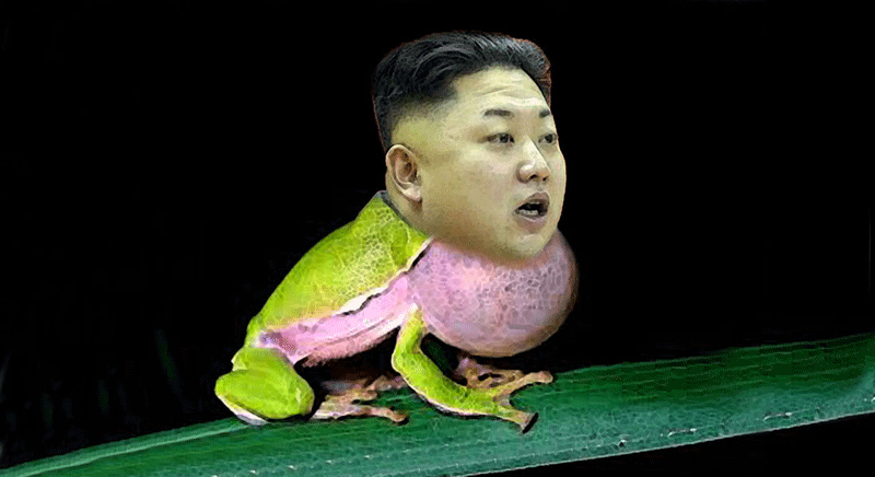 Kim Jung gets all puffy for New Year's speech.